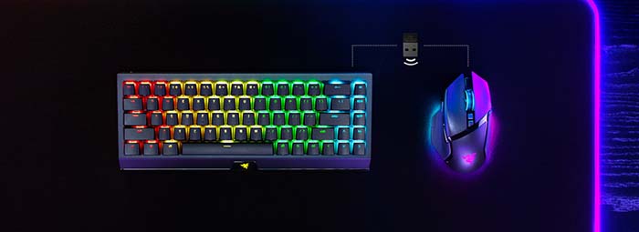 TNC Store Chuột Gaming Razer Basilisk V3 Pro